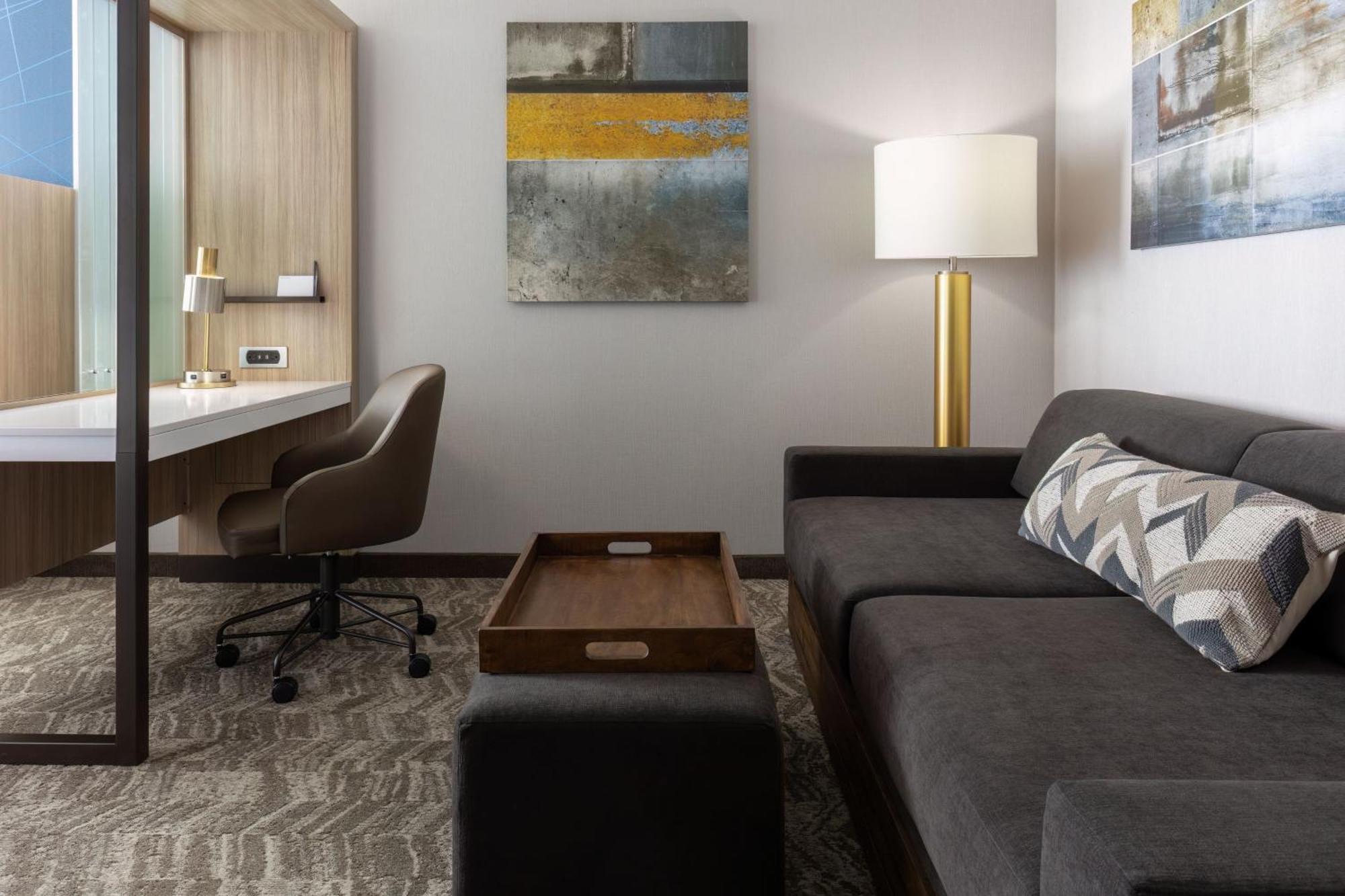 Springhill Suites By Marriott פלזנטון מראה חיצוני תמונה