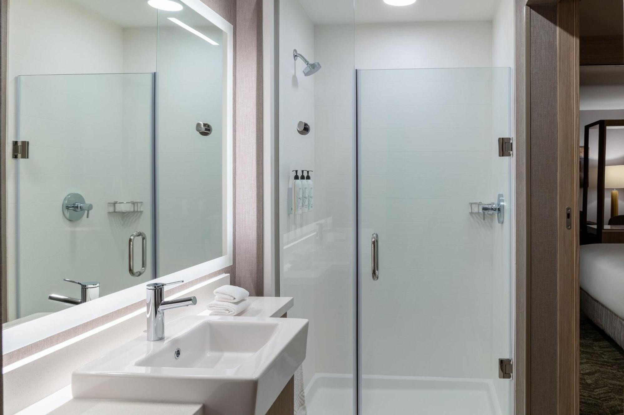 Springhill Suites By Marriott פלזנטון מראה חיצוני תמונה